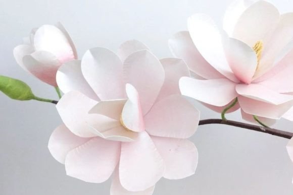 Magnolia Paper Flower: 3D SVG for Branding